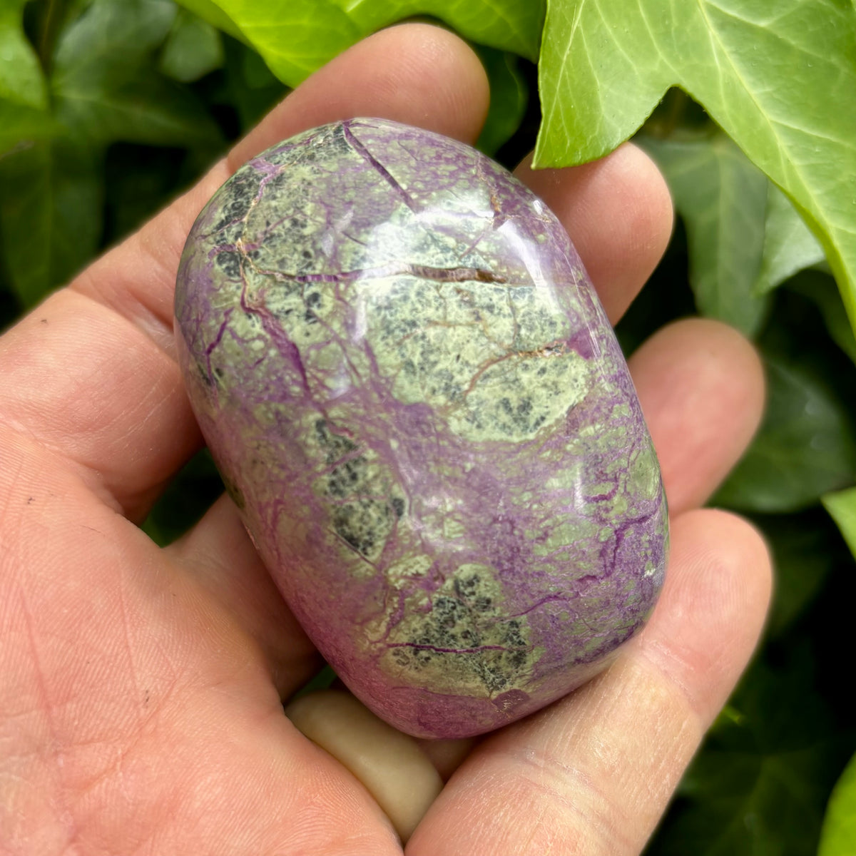 Stichtit i serpentin - palmstone | 6,5 cm Stichtit i serpentin - palmstone | 6,5 cm