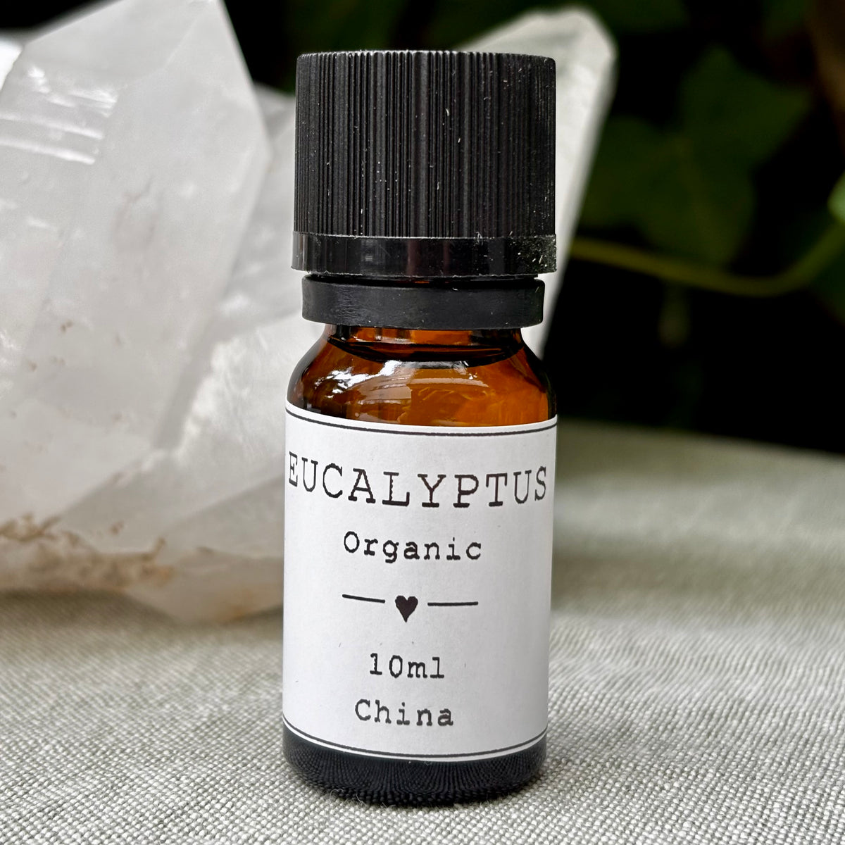 Eucalyptus Globulus Æterisk Olie | økologisk | 10 ml Eucalyptus Globulus Æterisk Olie | økologisk | 10 ml