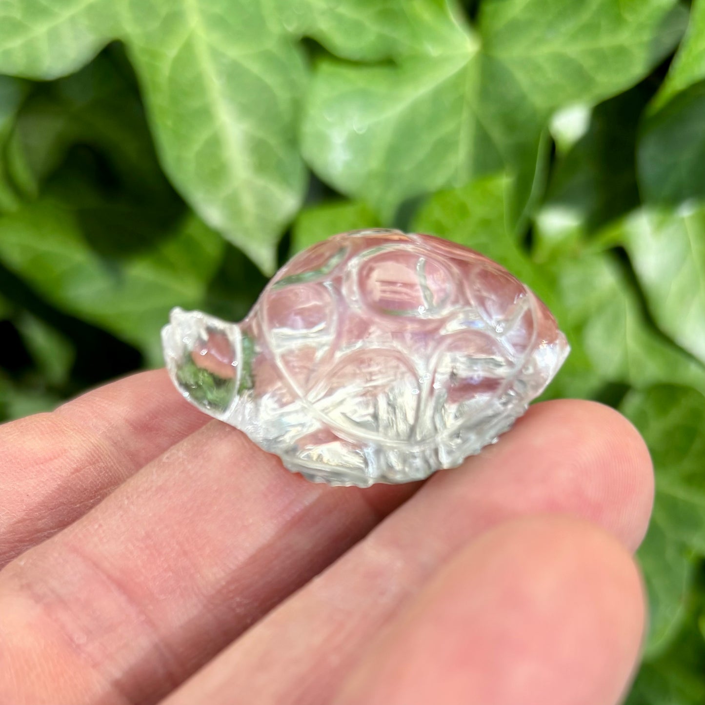 Krystal skildpadde | håndskåret klar Himalaya Bjergkrystal | 3,8 cm Krystal skildpadde | håndskåret klar Himalaya Bjergkrystal | 3,8 cm