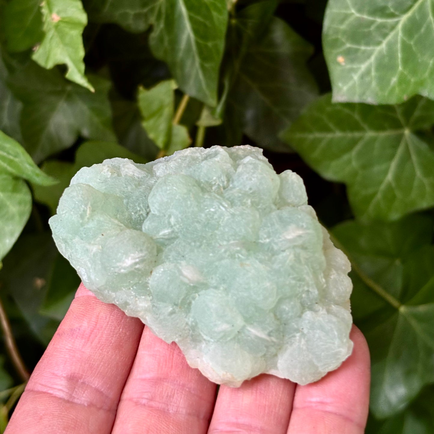 Prehnit klynge Botryoidal 8,5 cm | nr 1 Prehnit klynge Botryoidal 8,5 cm | nr 1