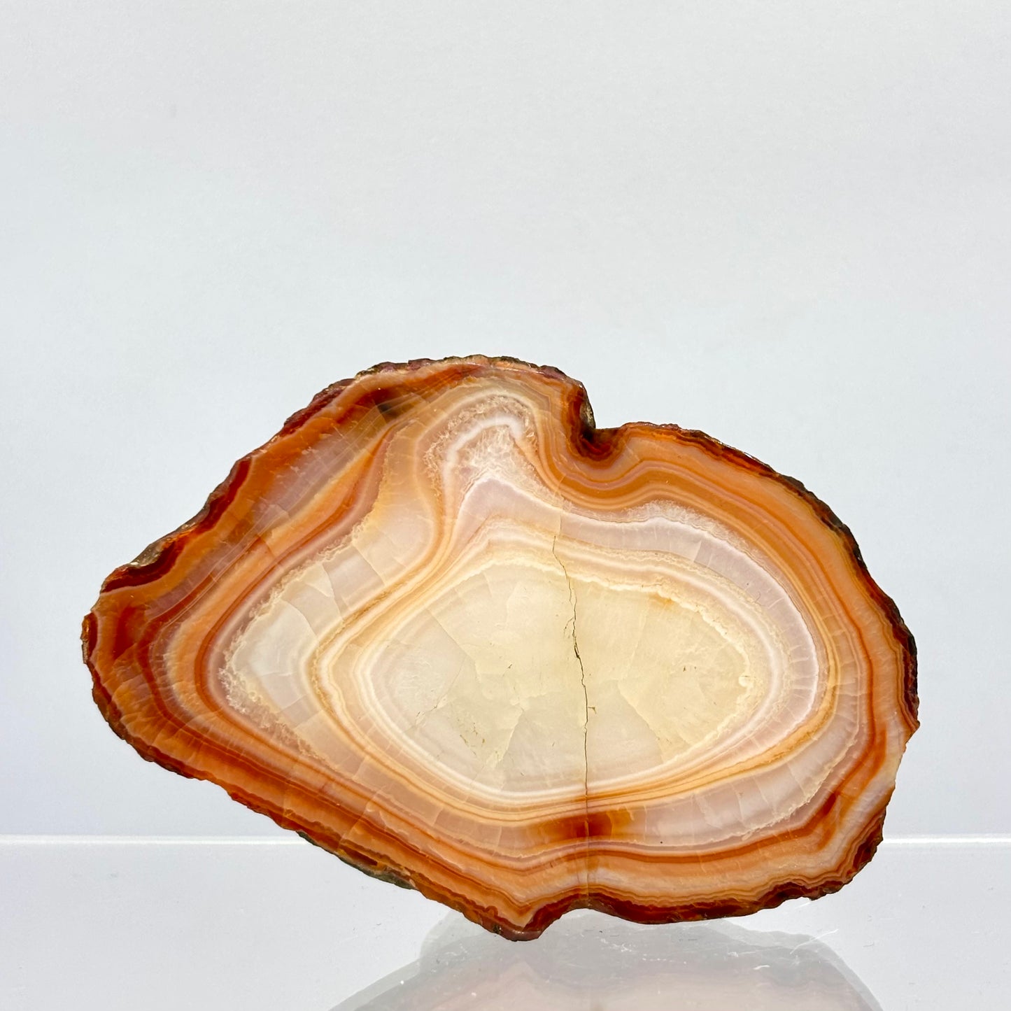 Karneol agat skive 7,5 cm | nr. 3 Karneol agat skive 7,5 cm | nr. 3