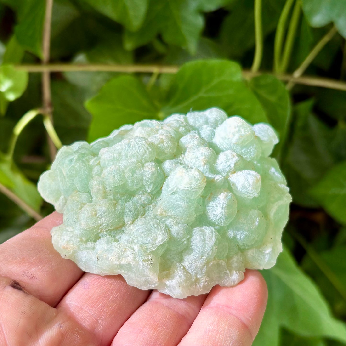 Prehnit klynge Botryoidal 8,5 cm | nr 2 Prehnit klynge Botryoidal 8,5 cm | nr 2