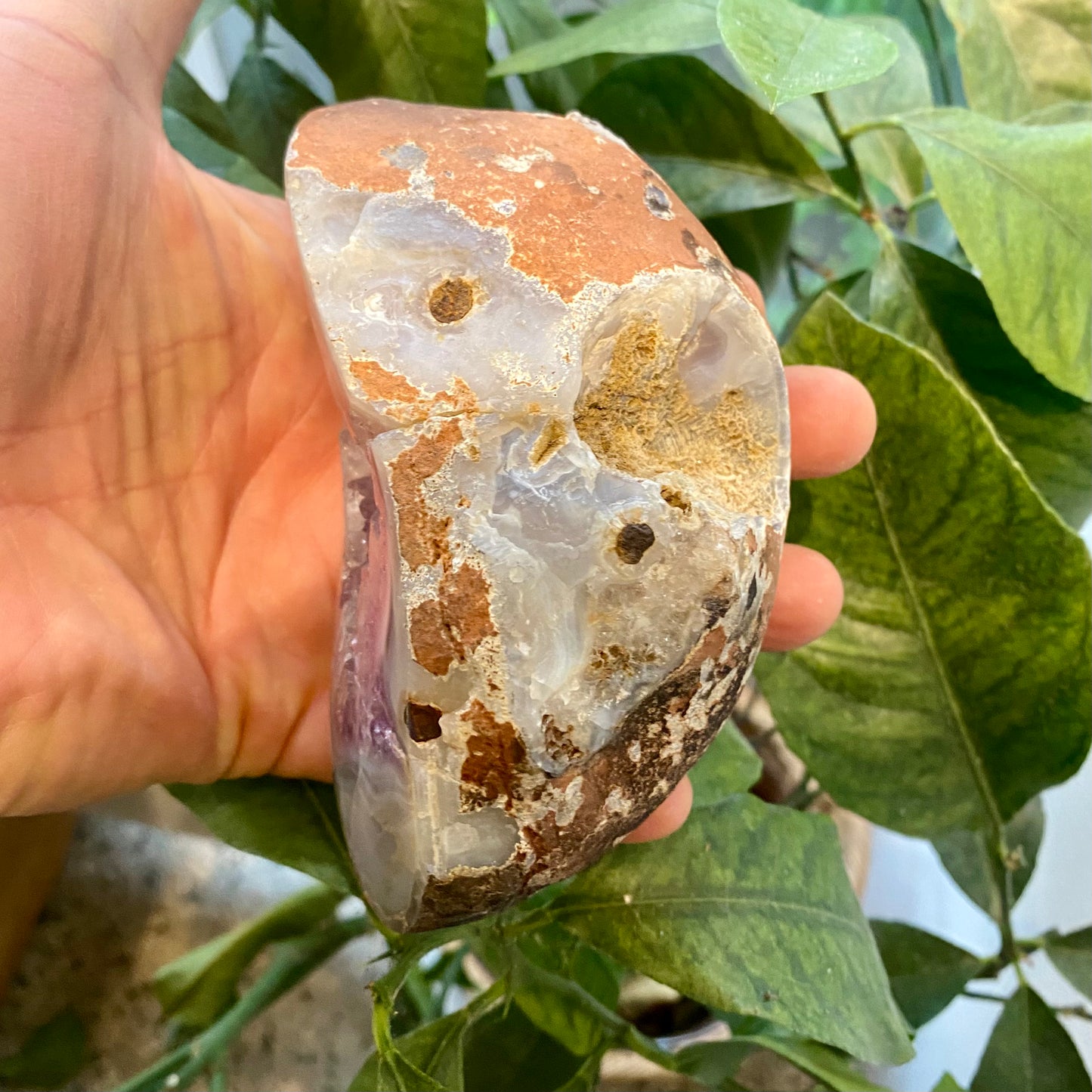 Agat geode, poleret Agat geode, poleret