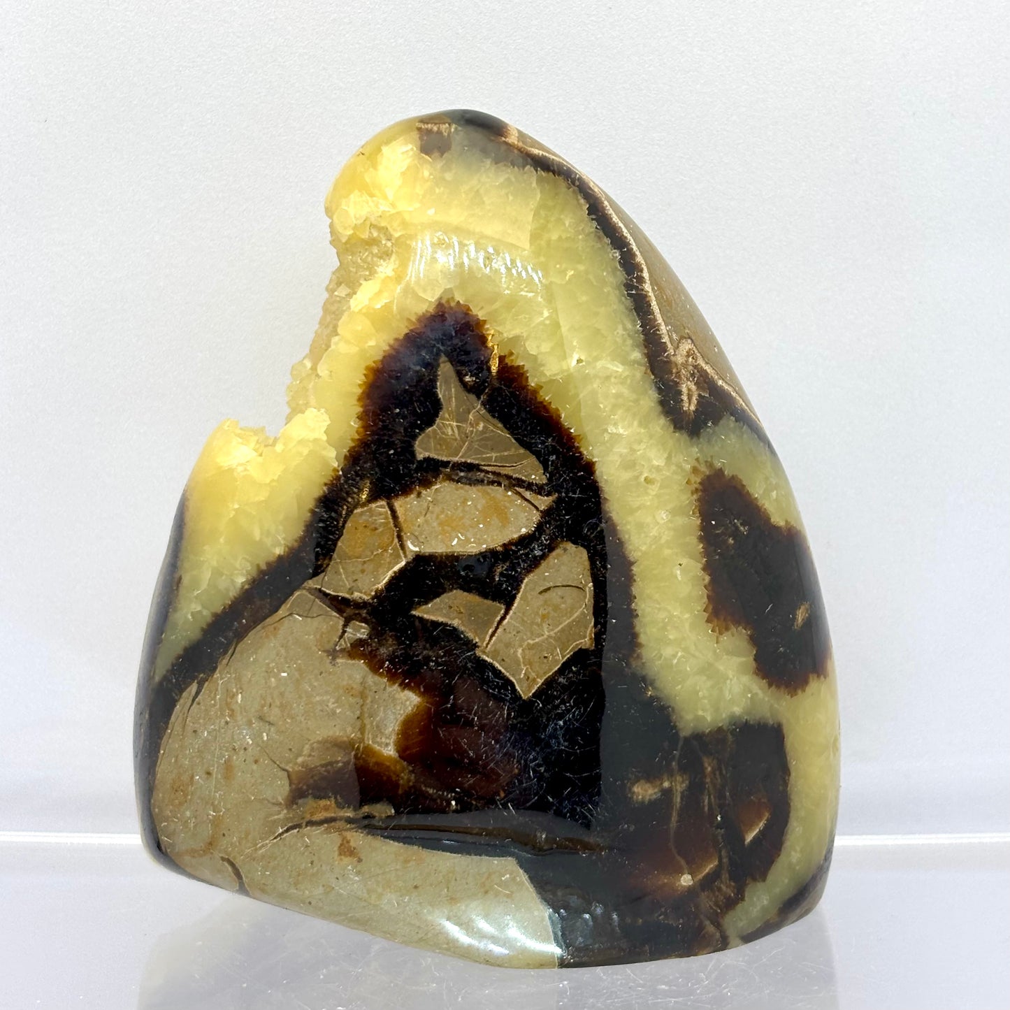 Septarie drusy skulptur 8,5 cm | nr. 4 Septarie drusy skulptur 8,5 cm | nr. 4