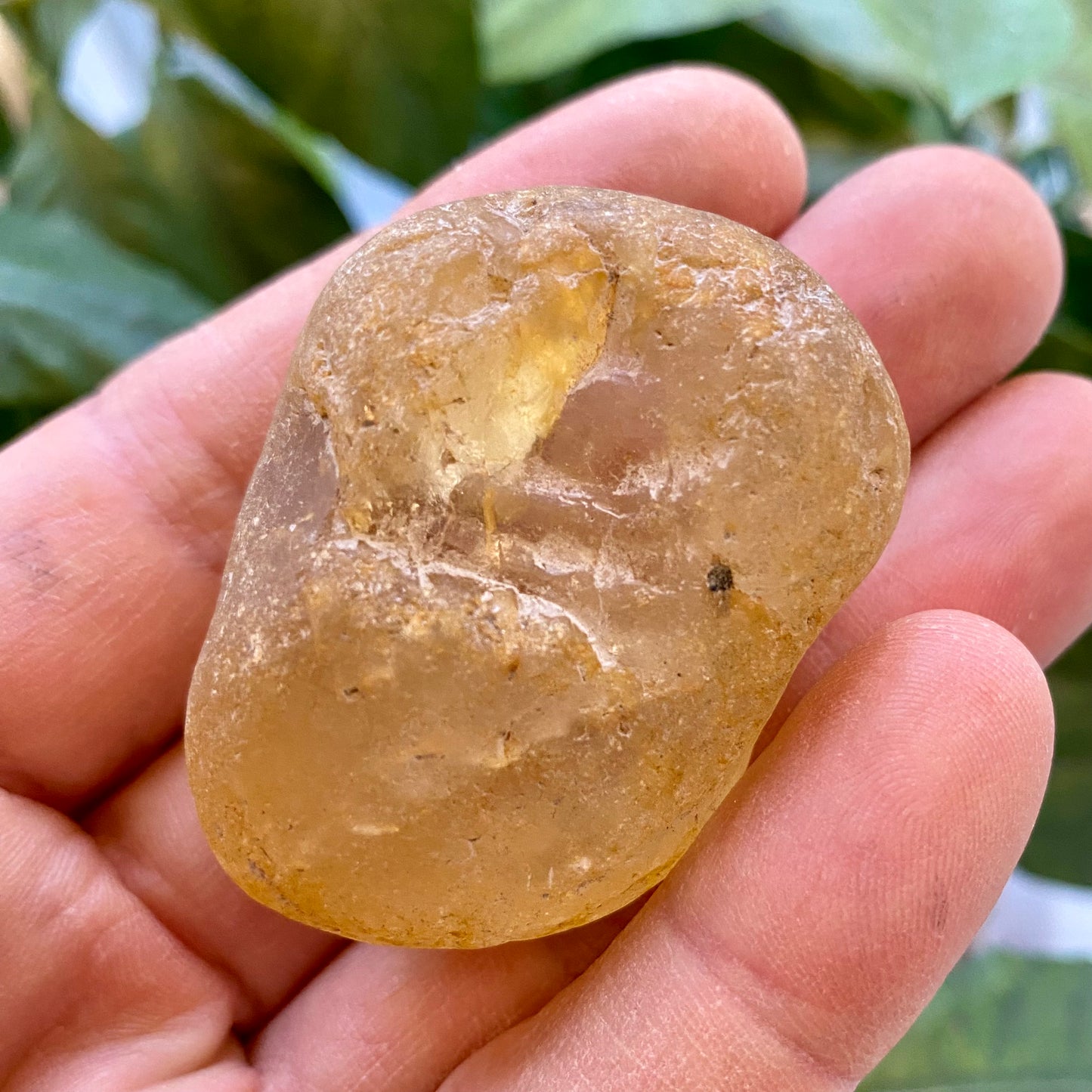 Seer Krystal | River Quartz Seer Krystal | River Quartz