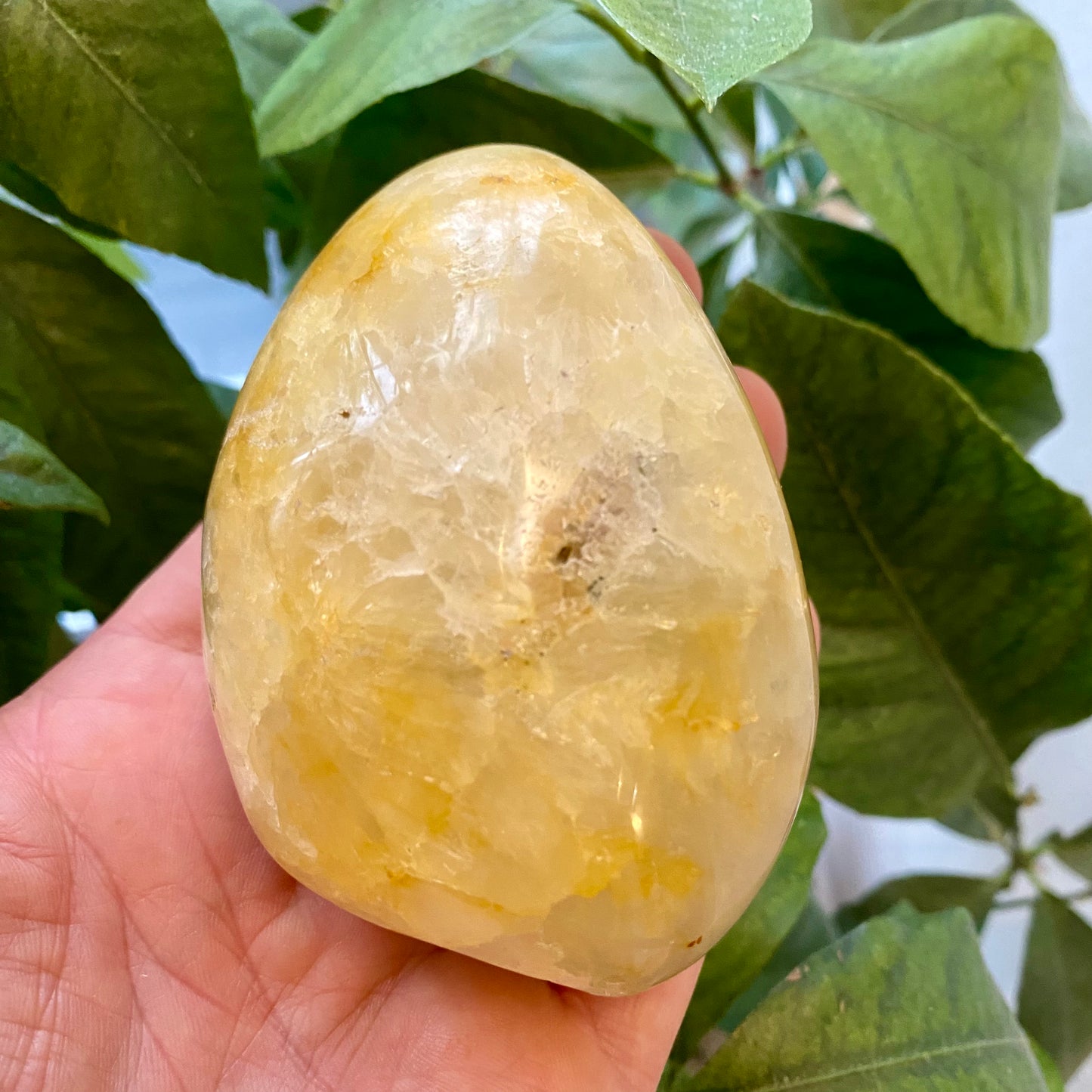 Agat geode, poleret Agat geode, poleret