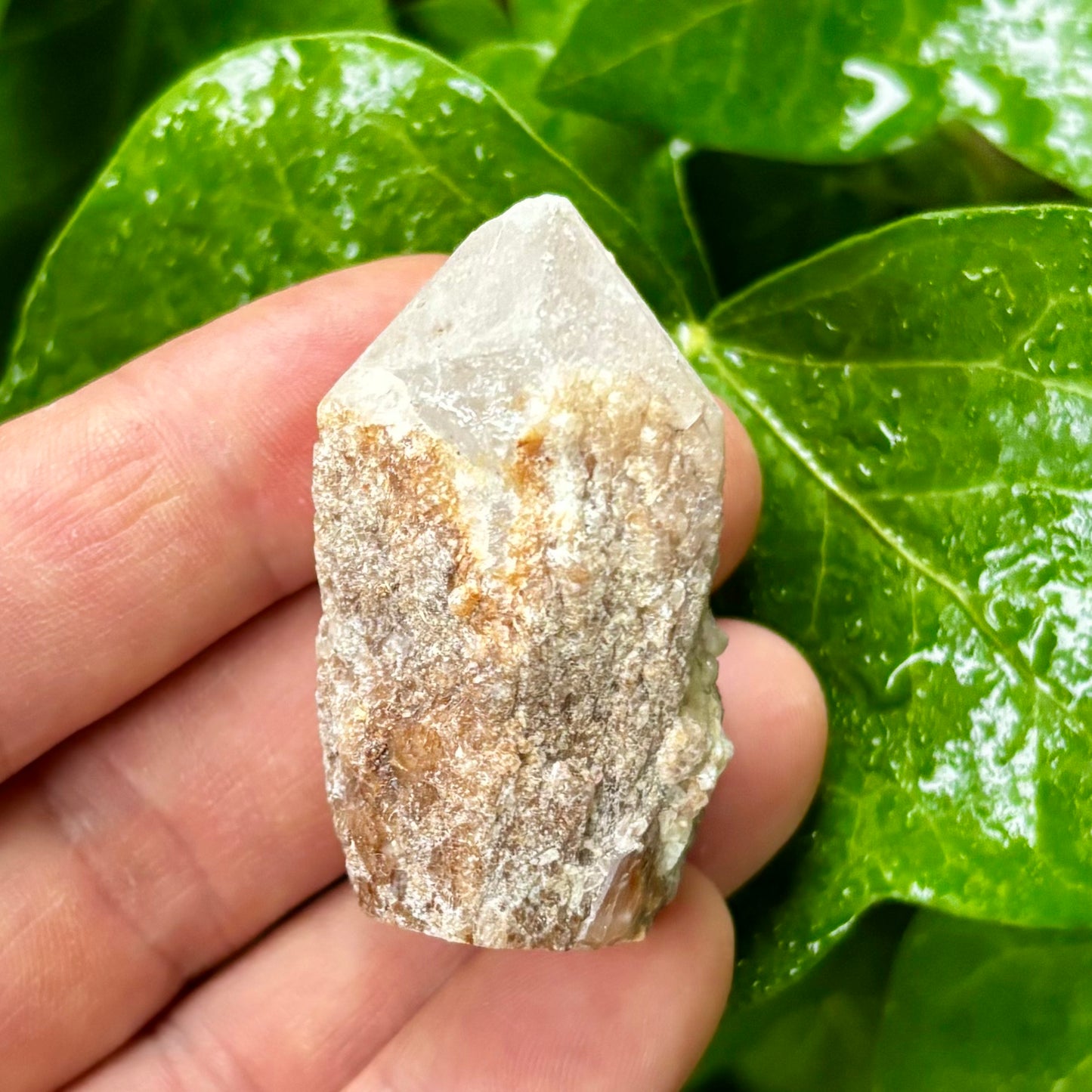 Bjergkrystal spids, candle kvarts - stående 5 cm Bjergkrystal spids, candle kvarts - stående 5 cm