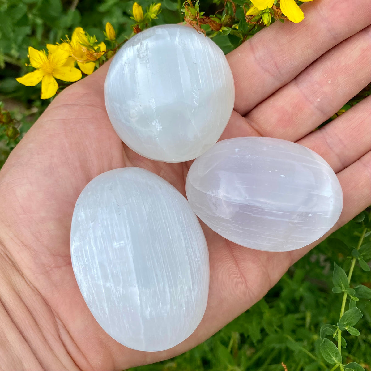 Selenit palmstone Selenit palmstone