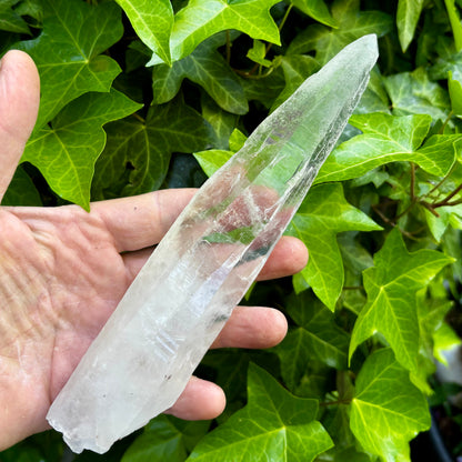 Bjergkrystal rå laser 21 cm | Brasilien