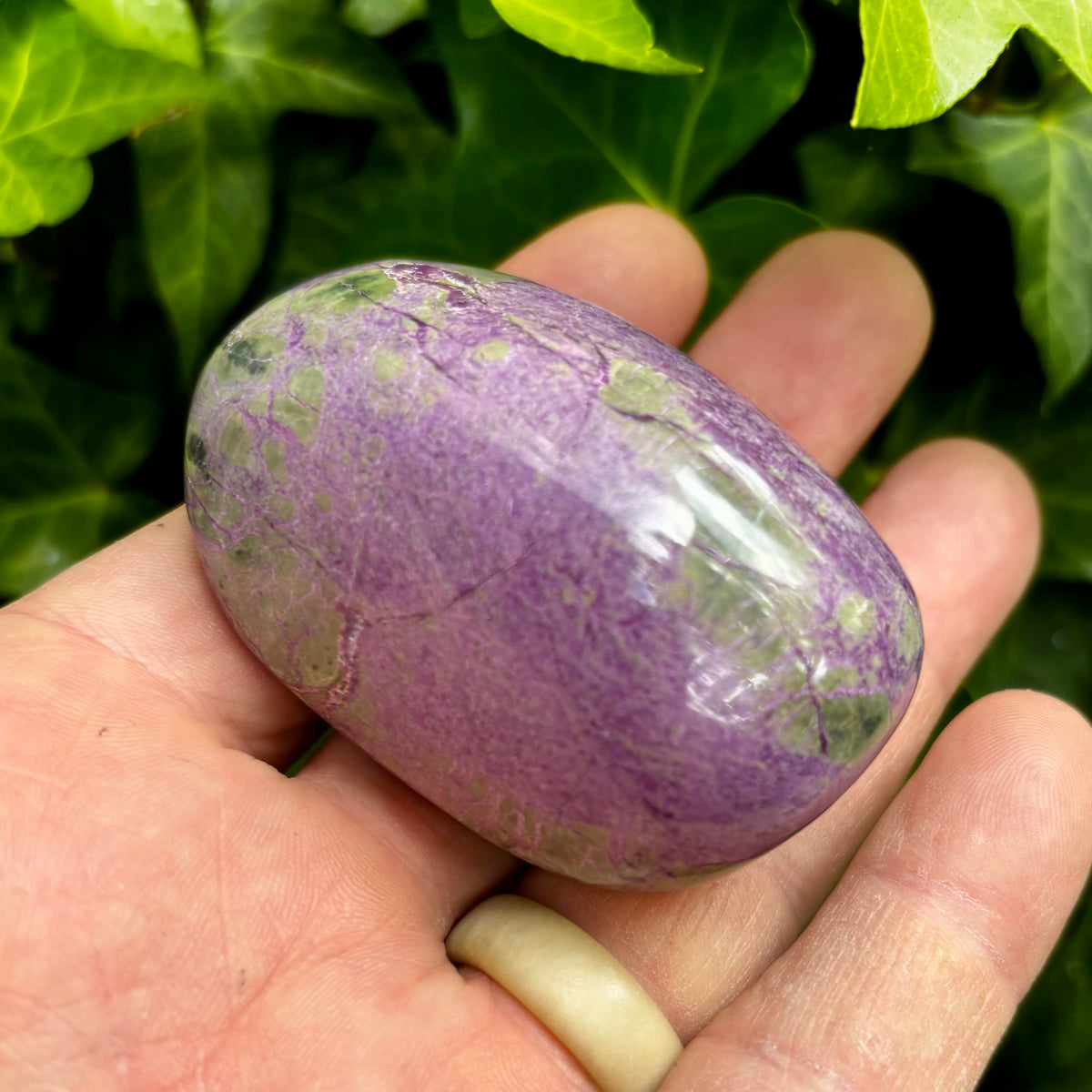 Stichtit i serpentin - palmstone | 6,5 cm Stichtit i serpentin - palmstone | 6,5 cm