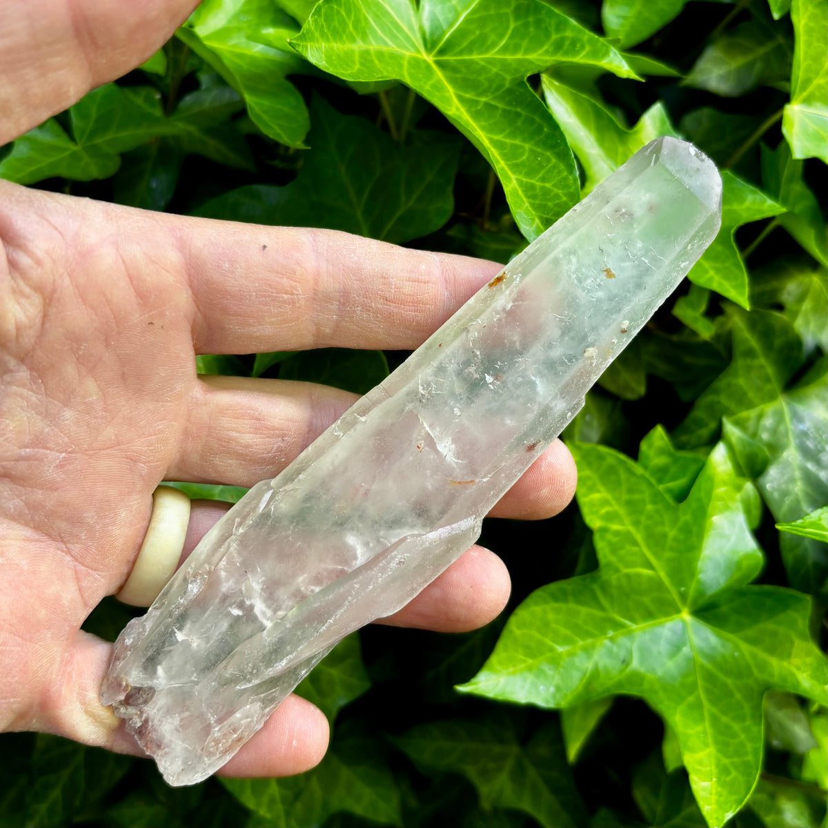 Bjergkrystal rå laser 16 cm | Brasilien | tabular quartz Bjergkrystal rå laser 16 cm | Brasilien | tabular quartz