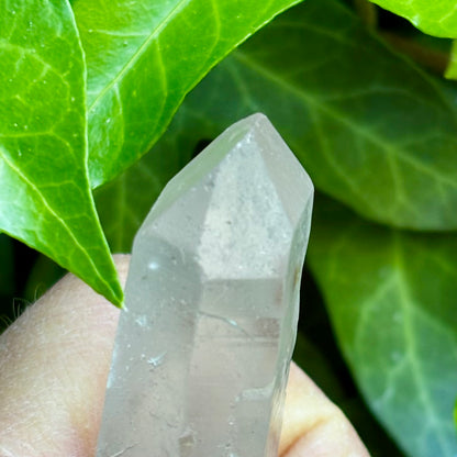Bjergkrystal rå laser 16 cm | Brasilien | tabular quartz