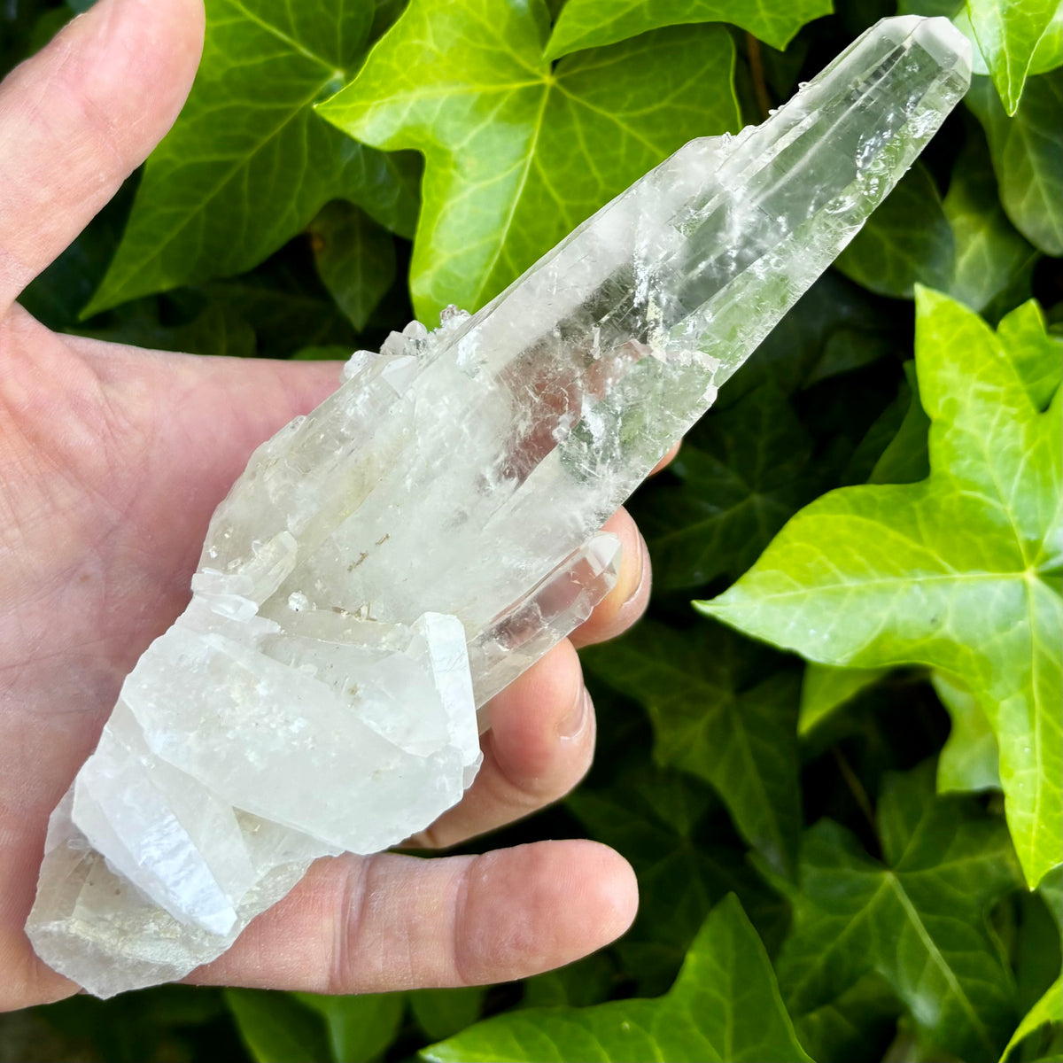Bjergkrystal rå laser 17,5 cm | Brasilien Bjergkrystal rå laser 17,5 cm | Brasilien