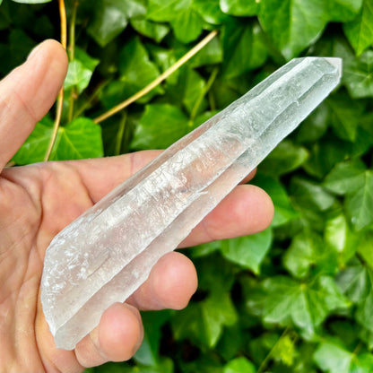 Bjergkrystal rå laser 16,6 cm | Brasilien