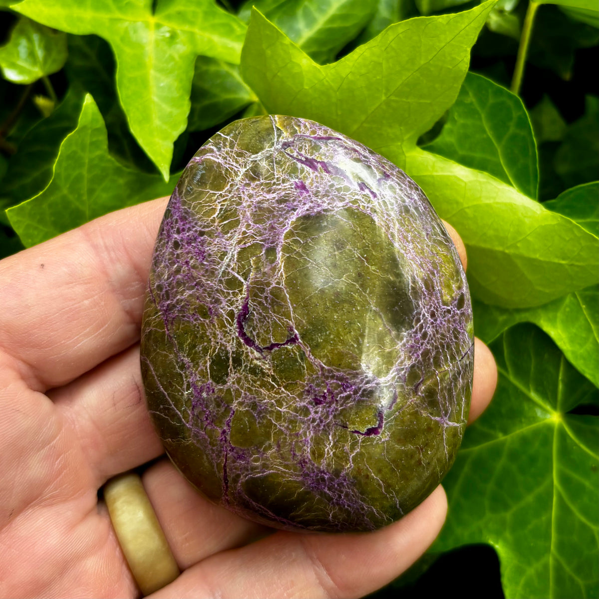 Stichtit i serpentin - palmstone | 7,5 cm Stichtit i serpentin - palmstone | 7,5 cm