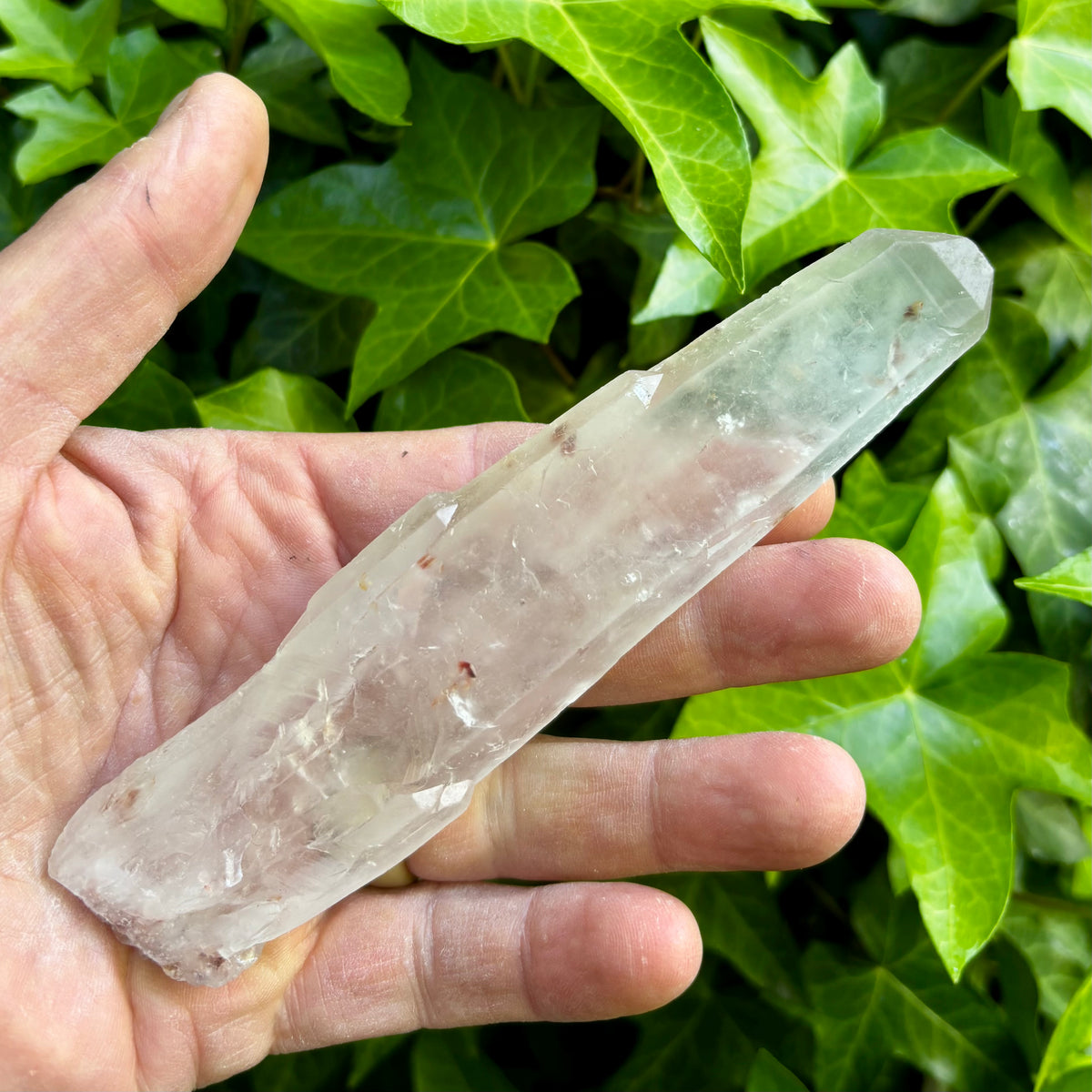Bjergkrystal rå laser 16 cm | Brasilien | tabular quartz Bjergkrystal rå laser 16 cm | Brasilien | tabular quartz