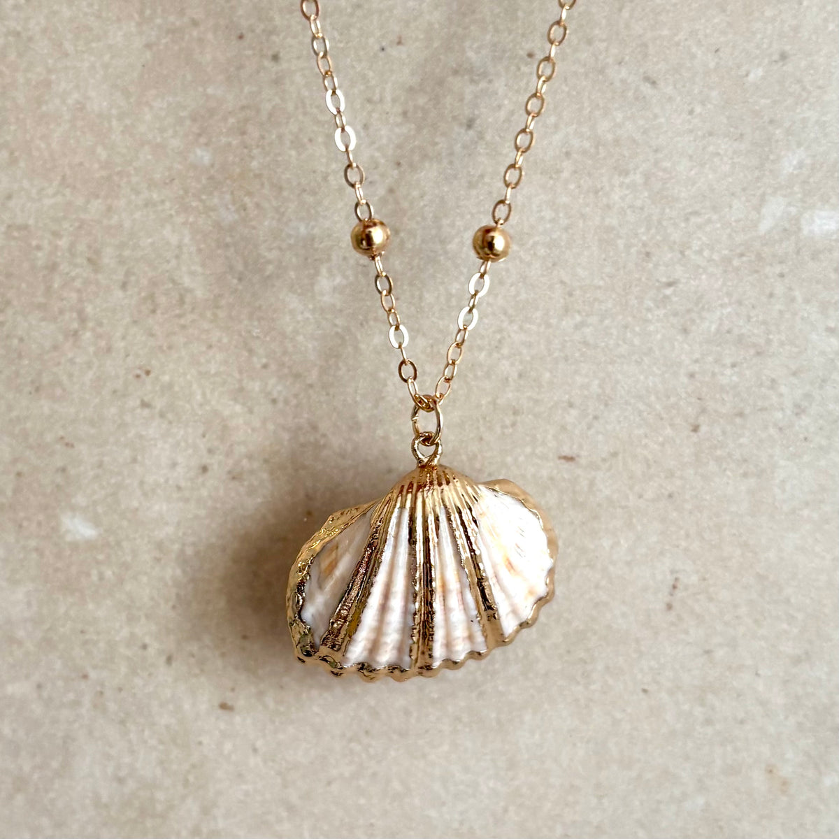 Skal halskæde - scallop Skal halskæde - scallop