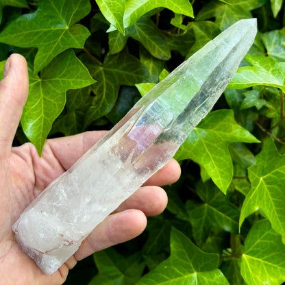 Bjergkrystal rå laser 21 cm | Brasilien