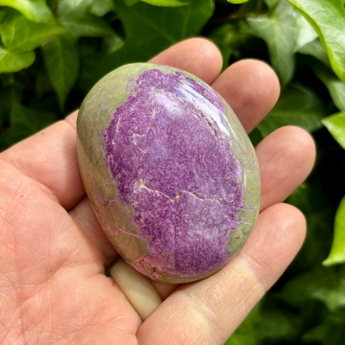 Stichtit i serpentin - palmstone | 6,5 cm Stichtit i serpentin - palmstone | 6,5 cm