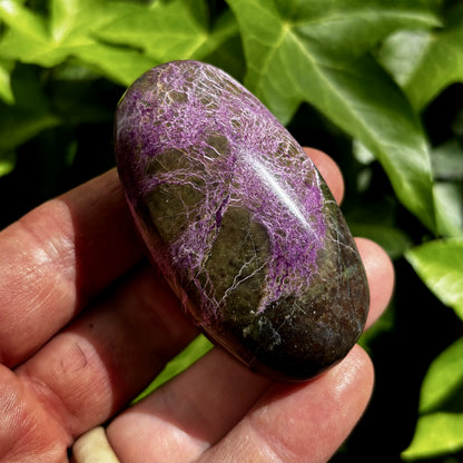 Stichtit i serpentin - palmstone | 7 cm