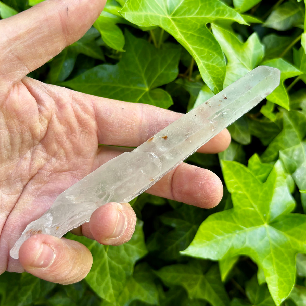 Bjergkrystal rå laser 16 cm | Brasilien | tabular quartz Bjergkrystal rå laser 16 cm | Brasilien | tabular quartz