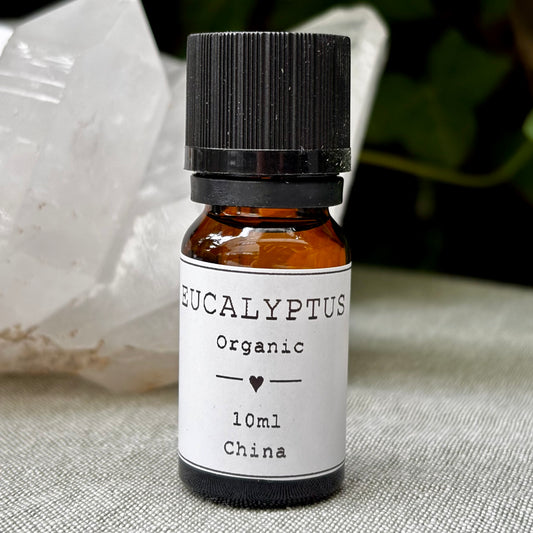 Billede af Eucalyptus Globulus Æterisk Olie | økologisk | 10 ml