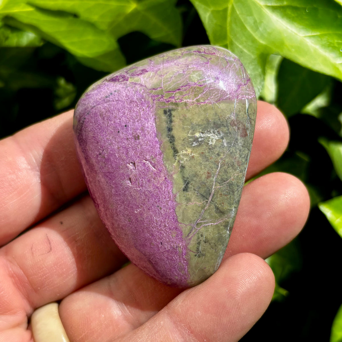 Stichtit i serpentin - palmstone | 6 cm Stichtit i serpentin - palmstone | 6 cm