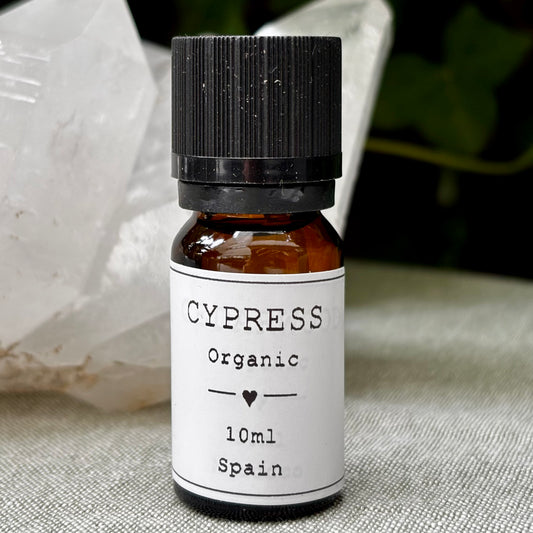 Billede af Cypress Æterisk Olie | økologisk | 10 ml