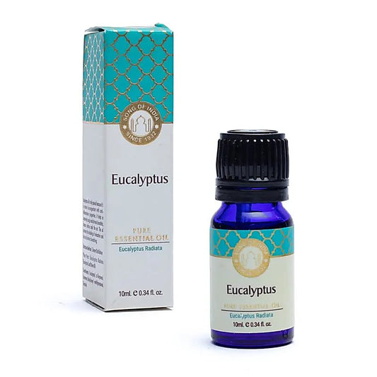 Billede af Eucalyptus æterisk olie | Song of India