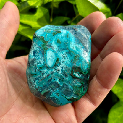 Mallacolla poleret 7 cm