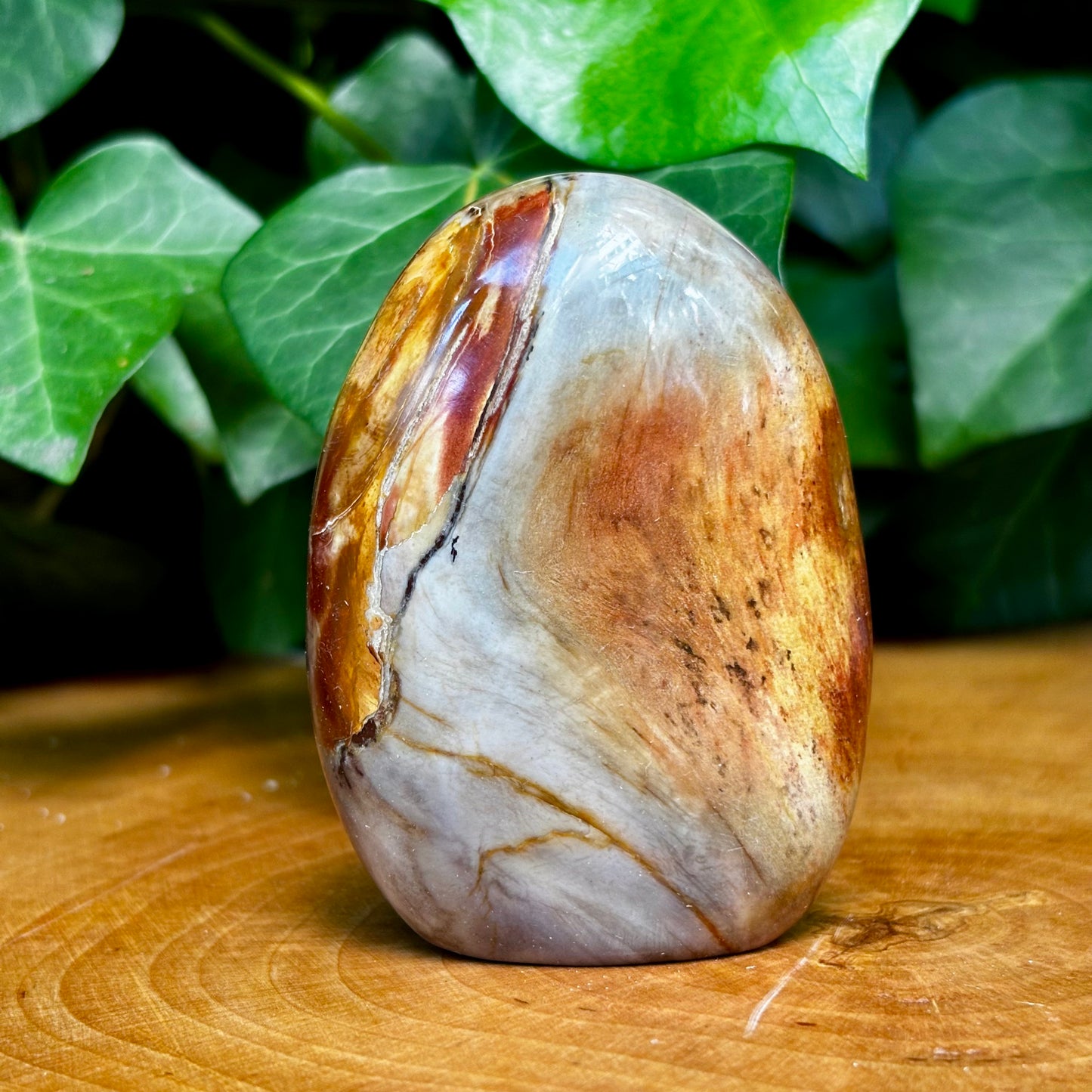 Forstenet træ skulptur 7 cm Forstenet træ skulptur 7 cm