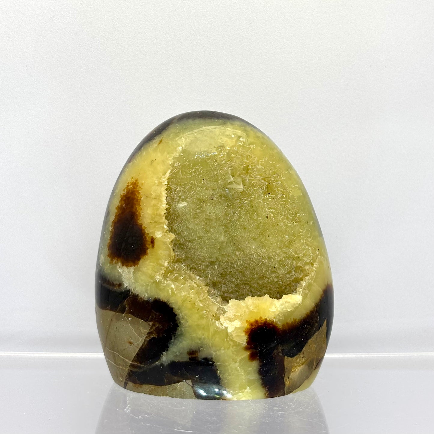 Septarie drusy skulptur 7,5 cm | nr. 6 Septarie drusy skulptur 7,5 cm | nr. 6