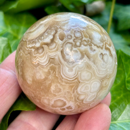 Amber flower Calcit Kugle fra Myanmar - 5,4 cm | nr. 1