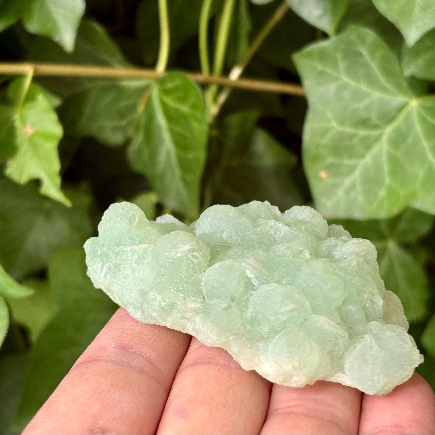 Prehnit klynge Botryoidal 8,5 cm | nr 1 Prehnit klynge Botryoidal 8,5 cm | nr 1