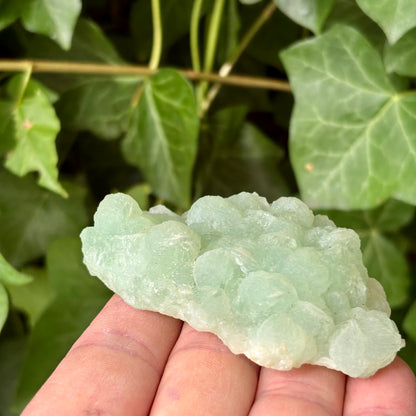 Prehnit klynge Botryoidal 8,5 cm | nr 1