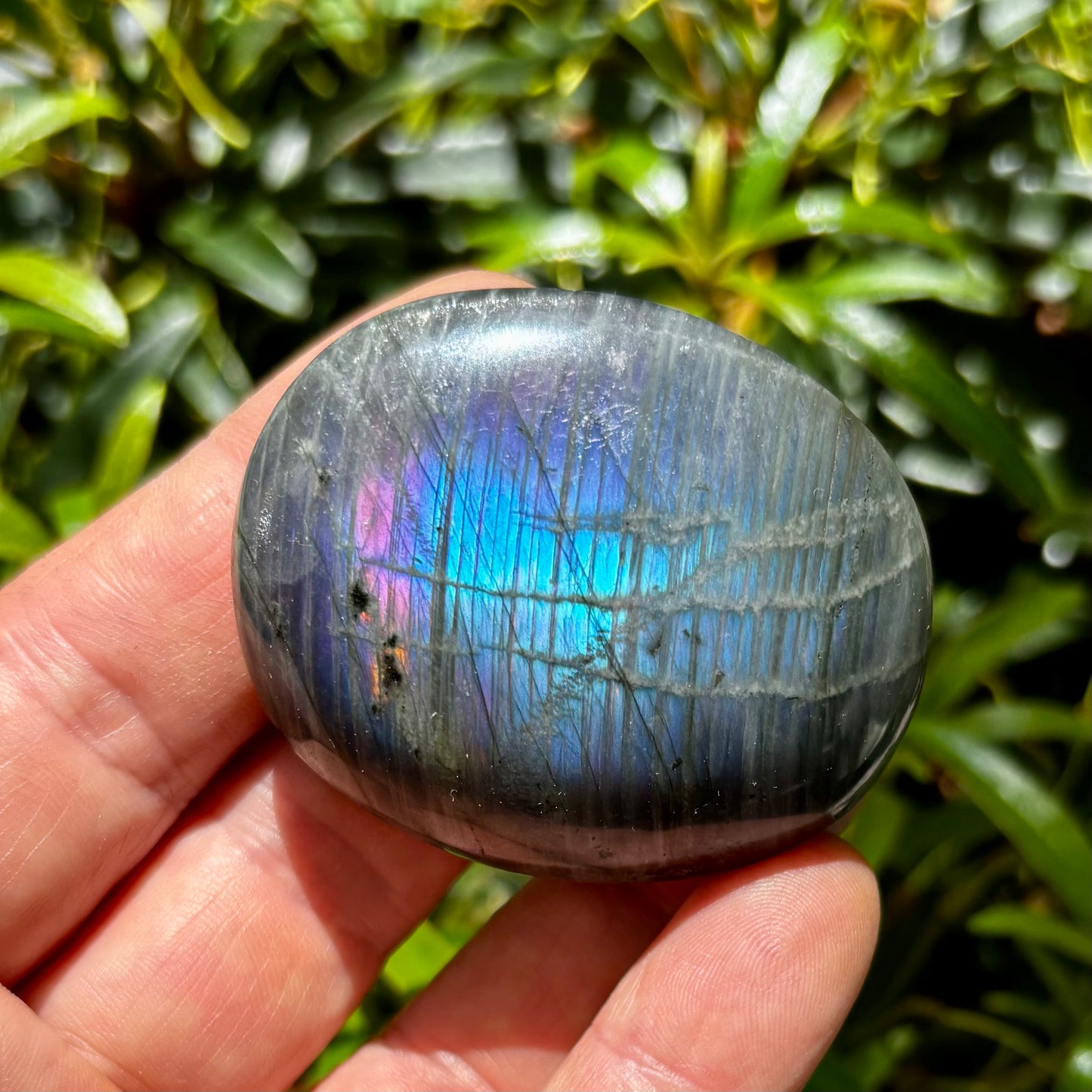 Labradorit palmstone | 6 cm nr 3 Labradorit palmstone | 6 cm nr 3