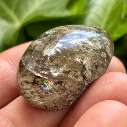 Garden Kvarts (lodolit) - 4,5 cm