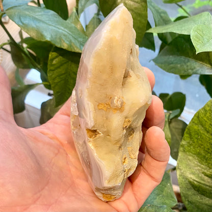 Agat geode, poleret