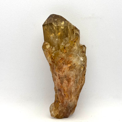 Citrin klynge 10 cm | nr. 6