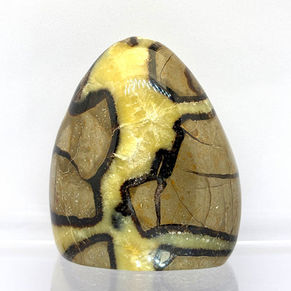 Septarie drusy skulptur 9 cm | nr. 2