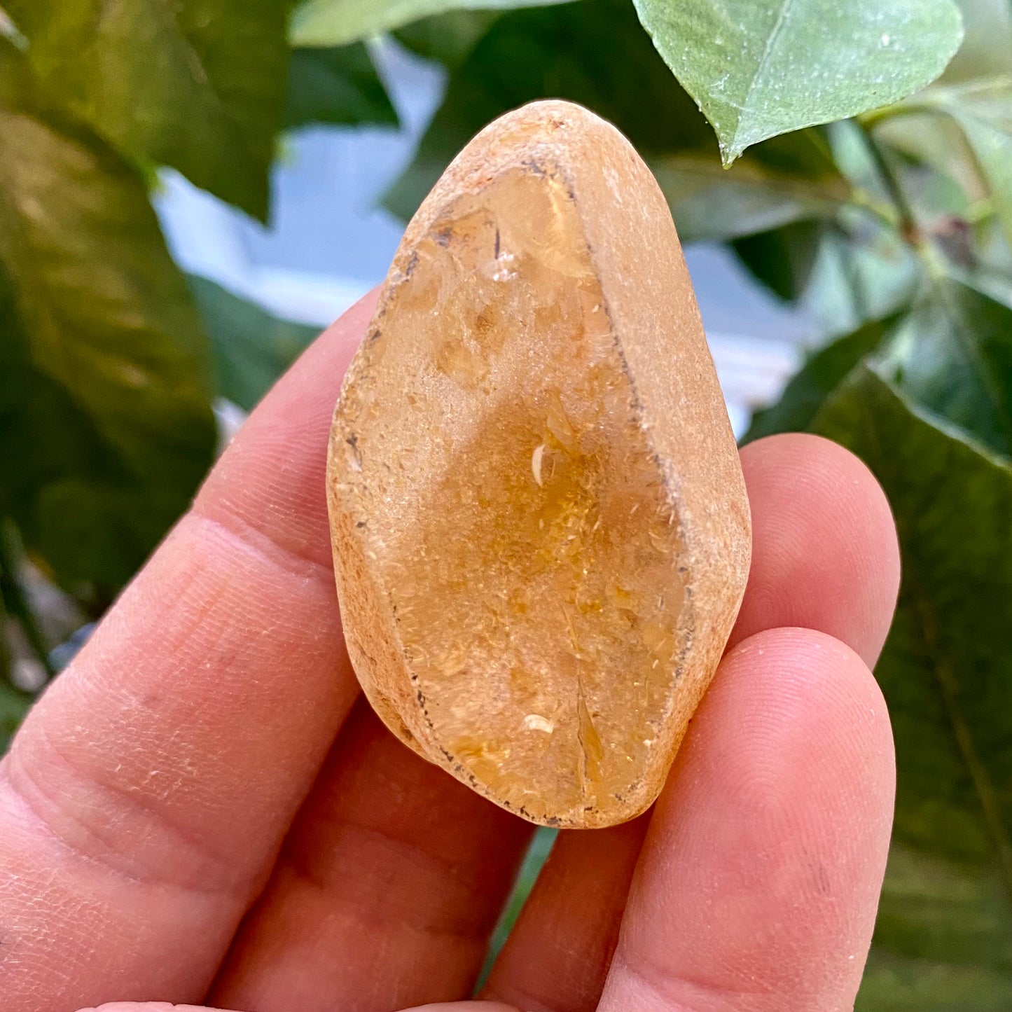 Seer Krystal | River Quartz Seer Krystal | River Quartz