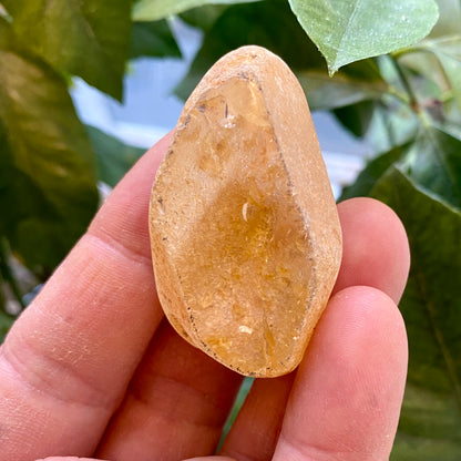 Seer Krystal | River Quartz