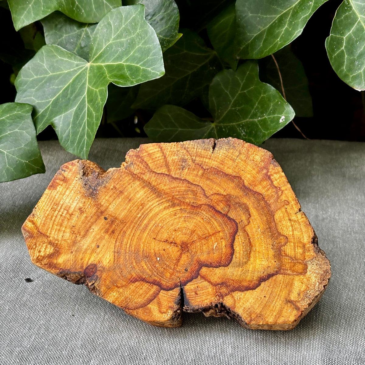 Palo Santo Podie til ceremoni og fokus Palo Santo Podie til ceremoni og fokus