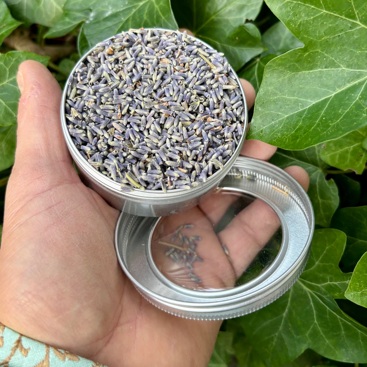 Økologisk lavendel fra Provence Økologisk lavendel fra Provence