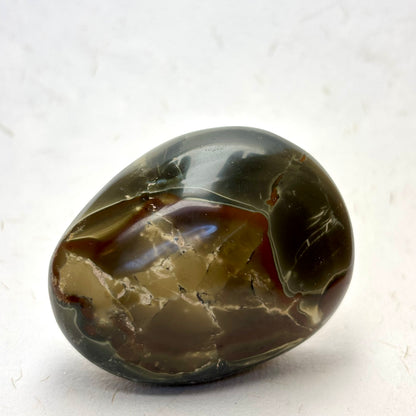 NW. M. Polychrome jaspis palmstone - 5,5 cm | nr. 19