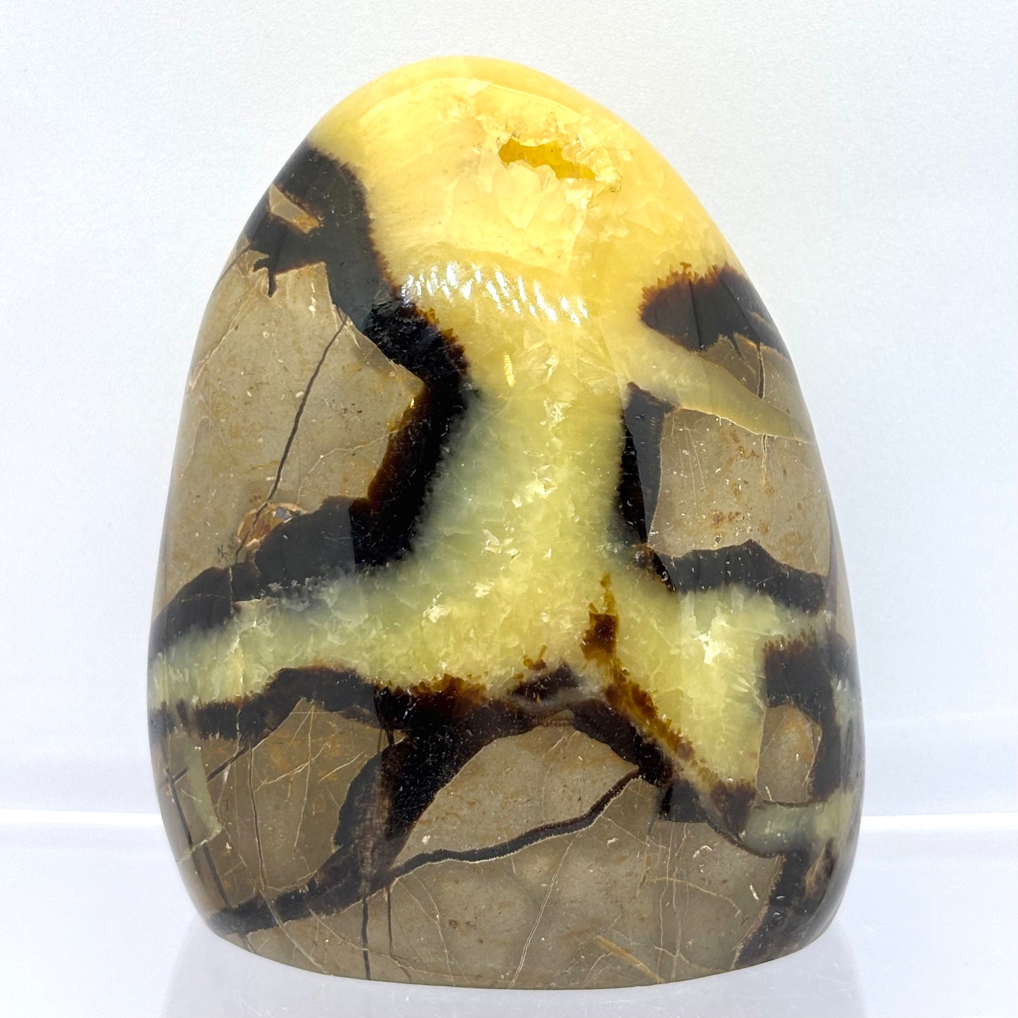 Septarie drusy skulptur 9 cm | nr. 12 Septarie drusy skulptur 9 cm | nr. 12
