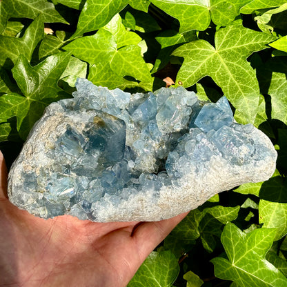 Celestit geodebrud - 19 cm