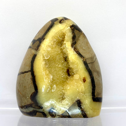 Septarie drusy skulptur 9 cm | nr. 2