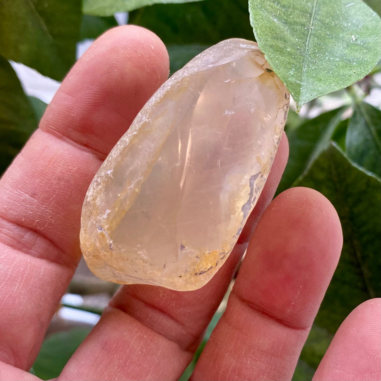 Seer Krystal | River Quartz / girasol Seer Krystal | River Quartz / girasol