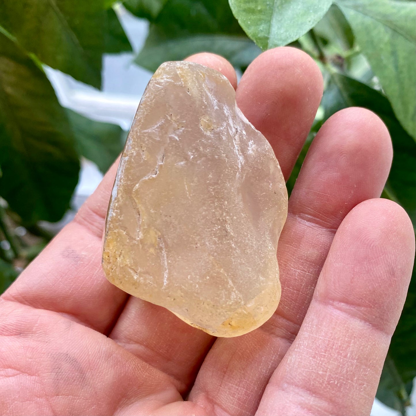 Seer Krystal | River Quartz / girasol Seer Krystal | River Quartz / girasol